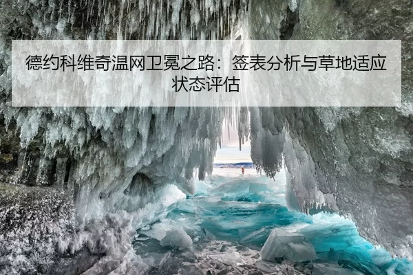 德约科维奇温网卫冕之路：签表分析与草地适应状态评估