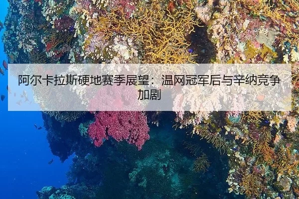 a-er-ka-la-si-ying-di-sai-ji-zhan-wang-wen-wang-guan-jun-hou-yu-xin-na-jing-zheng-jia-ju-2-401.jpg